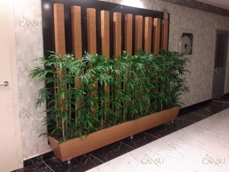 Bambu, Yapay Bambu, Doğal Bambu, Bambu Dekorasyon, Lake Bambu, Bambu Seperatör, Bambu Ağacı, Bambu Dalları