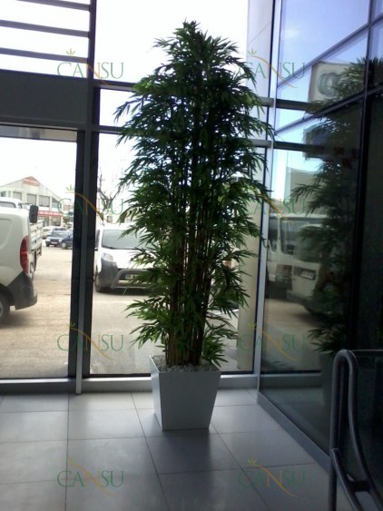 Bambu, Yapay Bambu, Doğal Bambu, Bambu Dekorasyon, Lake Bambu, Bambu Seperatör, Bambu Ağacı, Bambu Dalları