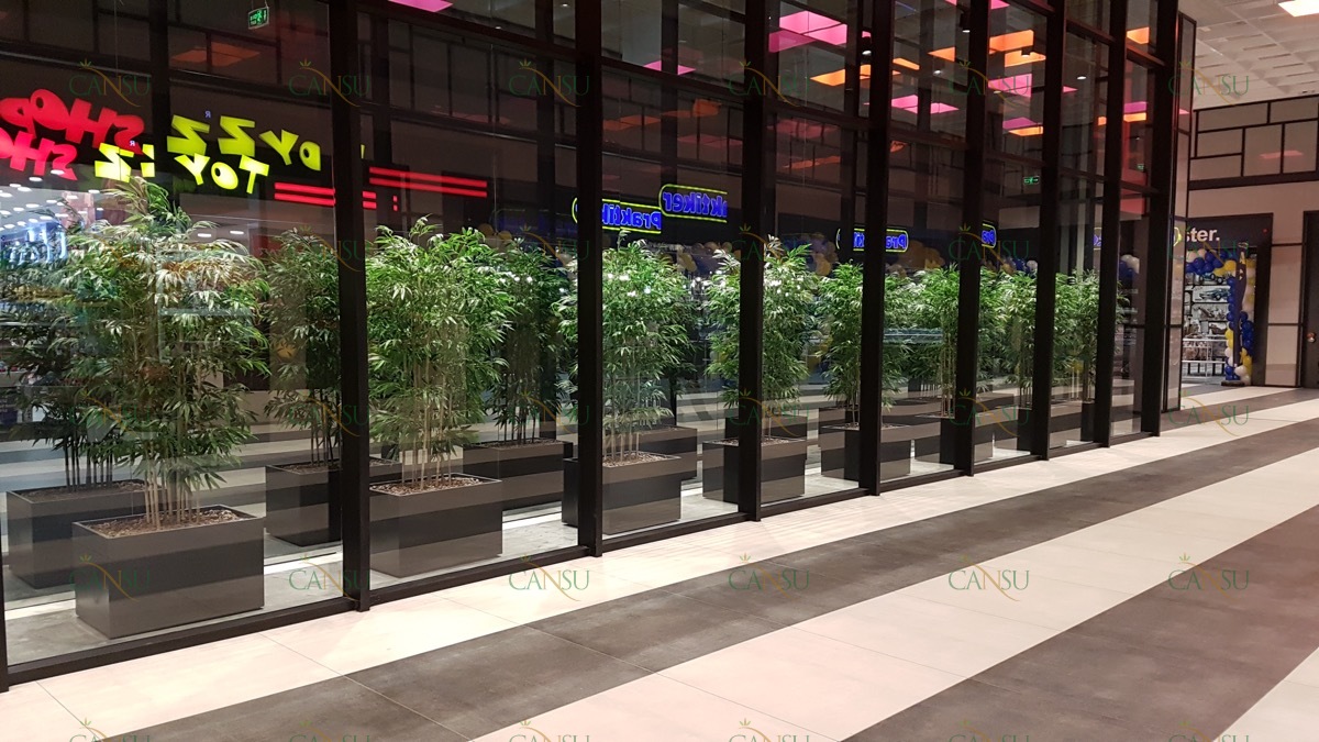 Bambu, Yapay Bambu, Doğal Bambu, Bambu Dekorasyon, Lake Bambu, Bambu Seperatör, Bambu Ağacı, Bambu Dalları